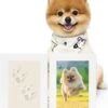 Honden Fotolijst Met Kleiafdruk – Gipsafdruk – Speelgoed Voor Dieren – Pootafdruk Hond – Puppy Speelgoed – Gipsafdruk Huisdie -Hondenvoer Winkel 1026x1200 1