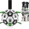 Honden Bal Met Touw | Middel En Grote Honden | Interactie | Speelgoed Voor Hond | Buitenspelen | Huisdieren | Opblaasbaar 2 Honden Bal Met Touw | Middel En Grote Honden | Interactie | Speelgoed Voor Hond | Buitenspelen | Huisdieren | Opblaasbaar -Hondenvoer Winkel 1200x1074
