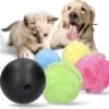 Petloverz Magic Roller Ball – Honden Speelgoed – Premium Automatische Rollende Bal -Hondenvoer Winkel 1200x1146