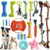 Hondenspeelgoedset, 20 Stuks, Op Verwoestbaar Kauwspeelgoed Voor Honden, Met 3 Pijpen, Katoenen Puppyspeelgoedset, Touwbal, Hondenkauwspeelgoedset Voor Kleine, Grote, Middelgrote Honden -Hondenvoer Winkel 1200x1198 1