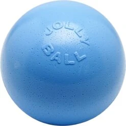 Jolly Ball Bounce-n Play – Honden Speelbal Met Frisse Geur – De Perfecte Stuiterbal – Bijtbestendig – Blauw – Ø 15 Cm