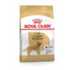 Royal Canin Golden Retriever Adult – Hondenvoer – 3 Kg -Hondenvoer Winkel 3182550743433 1