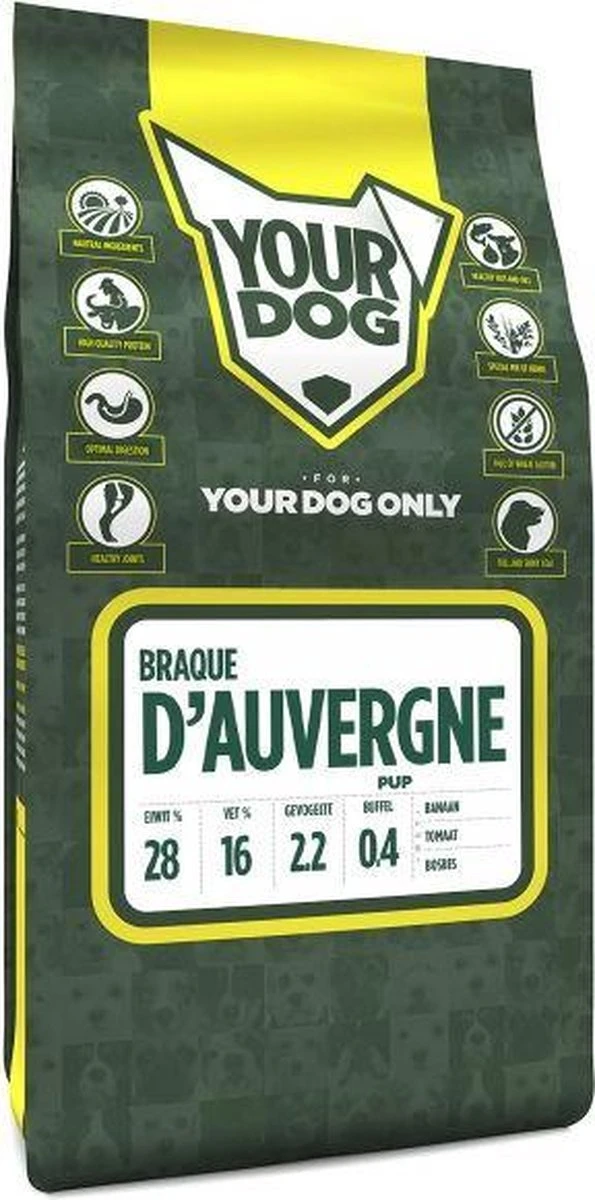 Yourdog Braque D’auvergne Pup (3 KG) 3 Yourdog Braque D’auvergne Pup (3 KG)