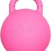 RelaxPets – Speelbal – Paard & Hond – Rubber – Handvat – Roze – 25 Cm