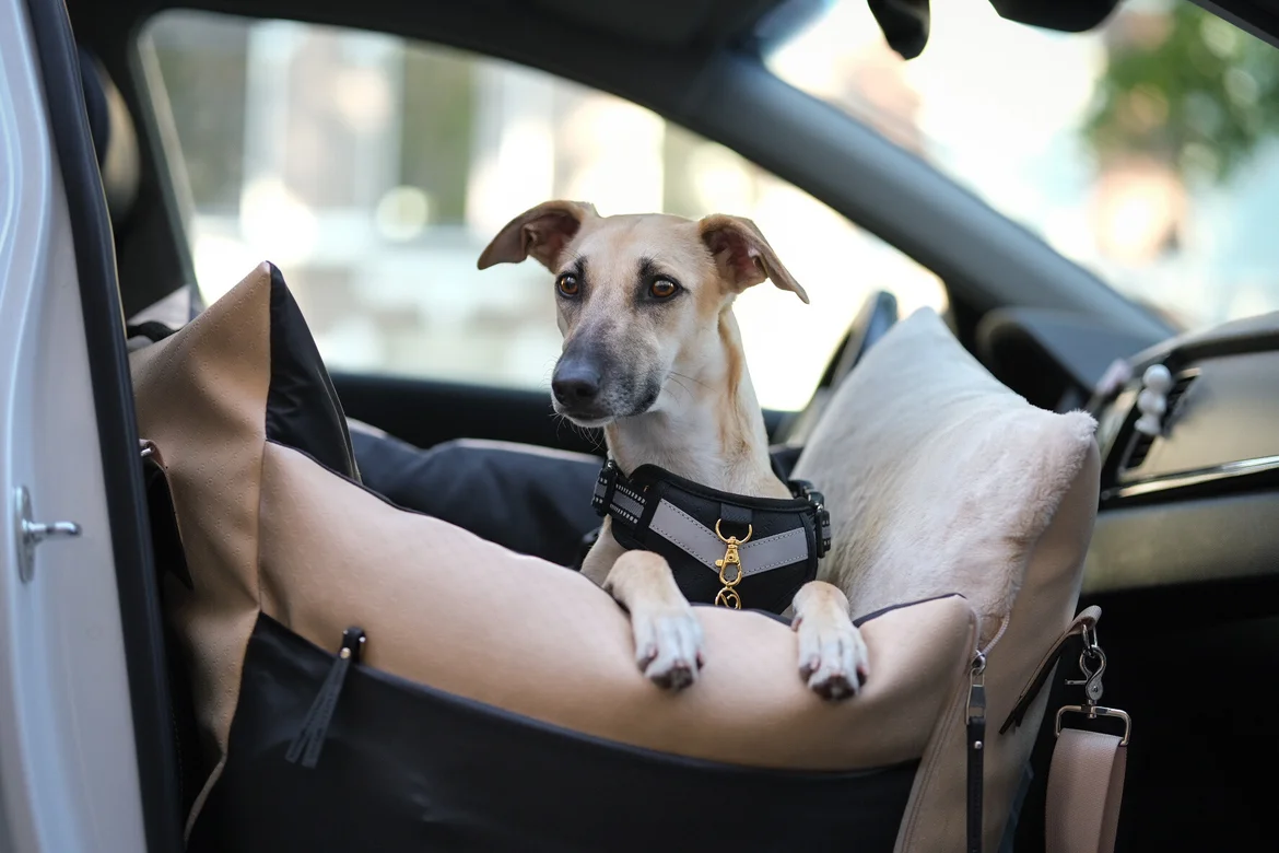 Hondenvoer Winkel -Hondenvoer Winkel 50481817 a53e 4e13 bed1 3a6cdeac4d78 6185 0000039ba90ecc81